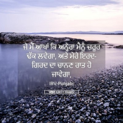 Picture 05 - ਜ਼ਬੂਰ 139:11 PANIRV - ਜੇ ਮੈਂ ਆਖਾਂ ਕਿ - Bible Verse Picture