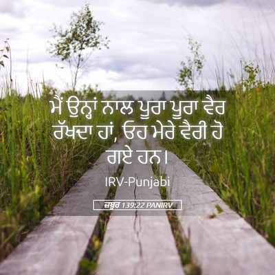 Picture 05 - ਜ਼ਬੂਰ 139:22 PANIRV - ਮੈਂ ਉਨ੍ਹਾਂ ਨਾਲ - Bible Verse Picture