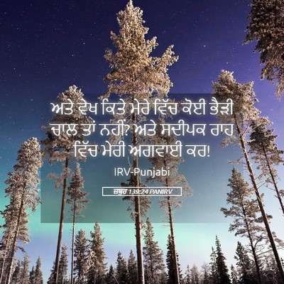 Picture 05 - ਜ਼ਬੂਰ 139:24 PANIRV - ਅਤੇ ਵੇਖ ਕਿਤੇ ਮੇਰੇ - Bible Verse Picture