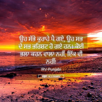 Picture 05 - ਜ਼ਬੂਰ 14:3 PANIRV - ਉਹ ਸੱਭੇ ਕੁਰਾਹੇ ਪੈ - Bible Verse Picture