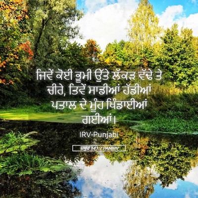 Picture 05 - ਜ਼ਬੂਰ 141:7 PANIRV - ਜਿਵੇਂ ਕੋਈ ਭੂਮੀ - Bible Verse Picture