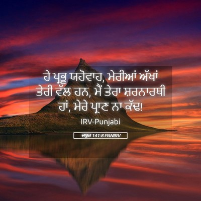Picture 05 - ਜ਼ਬੂਰ 141:8 PANIRV - ਹੇ ਪ੍ਰਭੂ ਯਹੋਵਾਹ, - Bible Verse Picture