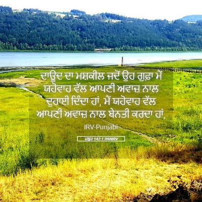 Picture 05 - ਜ਼ਬੂਰ 142:1 PANIRV - ਦਾਊਦ ਦਾ ਮਸ਼ਕੀਲ - Bible Verse Picture