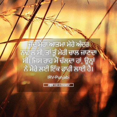 Picture 05 - ਜ਼ਬੂਰ 142:3 PANIRV - ਜਦ ਮੇਰਾ ਆਤਮਾ ਮੇਰੇ - Bible Verse Picture