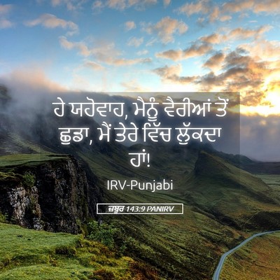 Picture 05 - ਜ਼ਬੂਰ 143:9 PANIRV - ਹੇ ਯਹੋਵਾਹ, ਮੈਨੂੰ - Bible Verse Picture