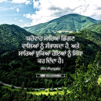 Picture 05 - ਜ਼ਬੂਰ 145:14 PANIRV - ਯਹੋਵਾਹ ਸਾਰਿਆਂ - Bible Verse Picture