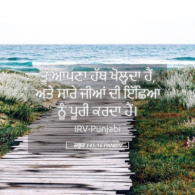 Picture 05 - ਜ਼ਬੂਰ 145:16 PANIRV - ਤੂੰ ਆਪਣਾ ਹੱਥ - Bible Verse Picture