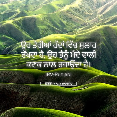 Picture 05 - ਜ਼ਬੂਰ 147:14 PANIRV - ਉਹ ਤੇਰੀਆਂ ਹੱਦਾਂ - Bible Verse Picture