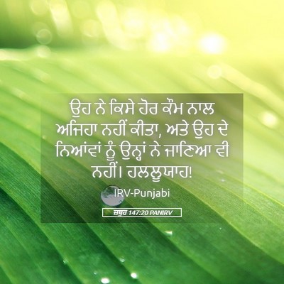 Picture 05 - ਜ਼ਬੂਰ 147:20 PANIRV - ਉਹ ਨੇ ਕਿਸੇ ਹੋਰ ਕੌਮ - Bible Verse Picture