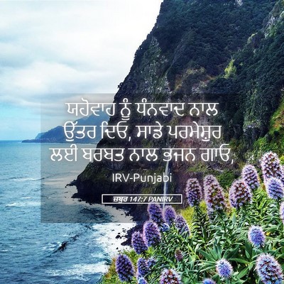 Picture 05 - ਜ਼ਬੂਰ 147:7 PANIRV - ਯਹੋਵਾਹ ਨੂੰ ਧੰਨਵਾਦ - Bible Verse Picture