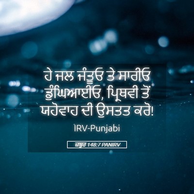Picture 05 - ਜ਼ਬੂਰ 148:7 PANIRV - ਹੇ ਜਲ ਜੰਤੂਓ ਤੇ - Bible Verse Picture