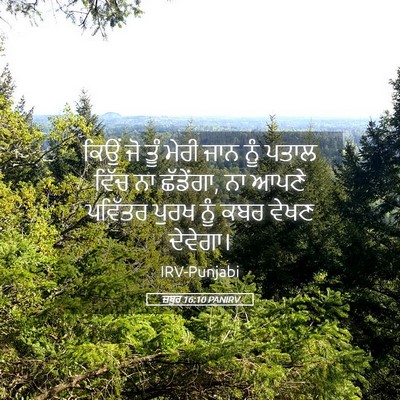 Picture 05 - ਜ਼ਬੂਰ 16:10 PANIRV - ਕਿਉਂ ਜੋ ਤੂੰ ਮੇਰੀ - Bible Verse Picture