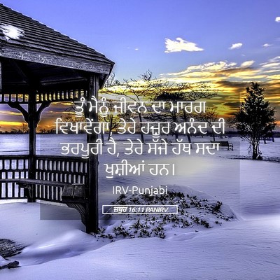 Picture 05 - ਜ਼ਬੂਰ 16:11 PANIRV - ਤੂੰ ਮੈਨੂੰ ਜੀਵਨ ਦਾ - Bible Verse Picture