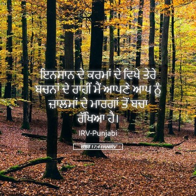 Picture 05 - ਜ਼ਬੂਰ 17:4 PANIRV - ਇਨਸਾਨ ਦੇ ਕਰਮਾਂ ਦੇ - Bible Verse Picture