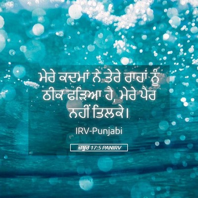 Picture 05 - ਜ਼ਬੂਰ 17:5 PANIRV - ਮੇਰੇ ਕਦਮਾਂ ਨੇ ਤੇਰੇ - Bible Verse Picture