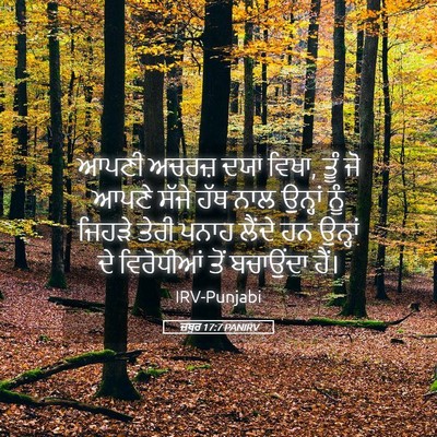 Picture 05 - ਜ਼ਬੂਰ 17:7 PANIRV - ਆਪਣੀ ਅਚਰਜ਼ ਦਯਾ - Bible Verse Picture