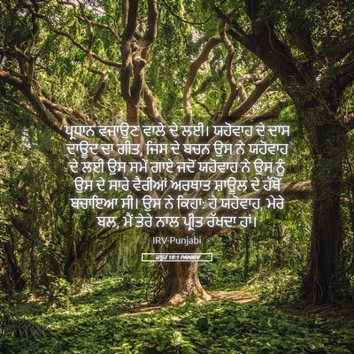 Picture 05 - ਜ਼ਬੂਰ 18:1 PANIRV - ਪ੍ਰਧਾਨ ਵਜਾਉਣ ਵਾਲੇ - Bible Verse Picture
