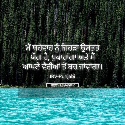 Picture 05 - ਜ਼ਬੂਰ 18:3 PANIRV - ਮੈਂ ਯਹੋਵਾਹ ਨੂੰ - Bible Verse Picture