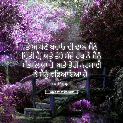 Picture 05 - ਜ਼ਬੂਰ 18:35 PANIRV - ਤੂੰ ਆਪਣੇ ਬਚਾਓ ਦੀ - Bible Verse Picture