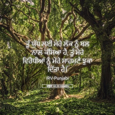 Picture 05 - ਜ਼ਬੂਰ 18:39 PANIRV - ਤੂੰ ਯੁੱਧ ਲਈ ਮੇਰੇ - Bible Verse Picture