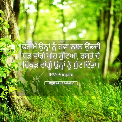 Picture 05 - ਜ਼ਬੂਰ 18:42 PANIRV - ਫੇਰ ਮੈਂ ਉਨ੍ਹਾਂ ਨੂੰ - Bible Verse Picture