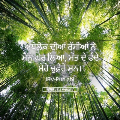 Picture 05 - ਜ਼ਬੂਰ 18:5 PANIRV - ਅਧੋਲੋਕ ਦੀਆਂ - Bible Verse Picture