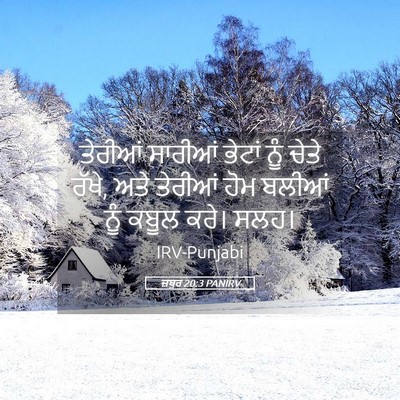 Picture 05 - ਜ਼ਬੂਰ 20:3 PANIRV - ਤੇਰੀਆਂ ਸਾਰੀਆਂ - Bible Verse Picture