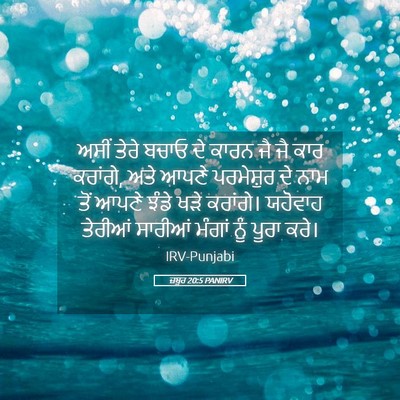 Picture 05 - ਜ਼ਬੂਰ 20:5 PANIRV - ਅਸੀਂ ਤੇਰੇ ਬਚਾਓ ਦੇ - Bible Verse Picture