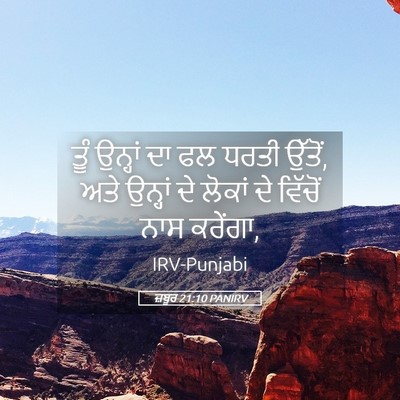 Picture 05 - ਜ਼ਬੂਰ 21:10 PANIRV - ਤੂੰ ਉਨ੍ਹਾਂ ਦਾ ਫਲ - Bible Verse Picture