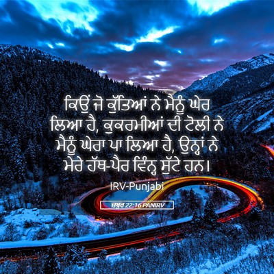 Picture 05 - ਜ਼ਬੂਰ 22:16 PANIRV - ਕਿਉਂ ਜੋ ਕੁੱਤਿਆਂ ਨੇ - Bible Verse Picture