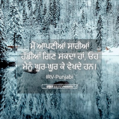 Picture 05 - ਜ਼ਬੂਰ 22:17 PANIRV - ਮੈਂ ਆਪਣੀਆਂ ਸਾਰੀਆਂ - Bible Verse Picture