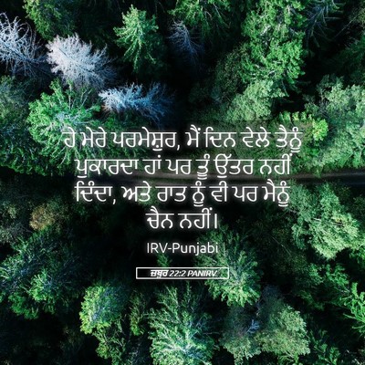 Picture 05 - ਜ਼ਬੂਰ 22:2 PANIRV - ਹੇ ਮੇਰੇ ਪਰਮੇਸ਼ੁਰ, - Bible Verse Picture