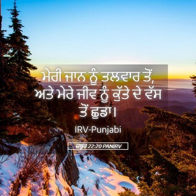 Picture 05 - ਜ਼ਬੂਰ 22:20 PANIRV - ਮੇਰੀ ਜਾਨ ਨੂੰ ਤਲਵਾਰ - Bible Verse Picture