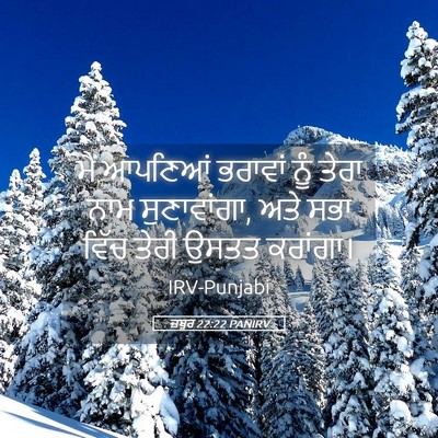 Picture 05 - ਜ਼ਬੂਰ 22:22 PANIRV - ਮੈਂ ਆਪਣਿਆਂ ਭਰਾਵਾਂ - Bible Verse Picture