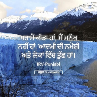 Picture 05 - ਜ਼ਬੂਰ 22:6 PANIRV - ਪਰ ਮੈਂ ਕੀੜਾ ਹਾਂ, - Bible Verse Picture