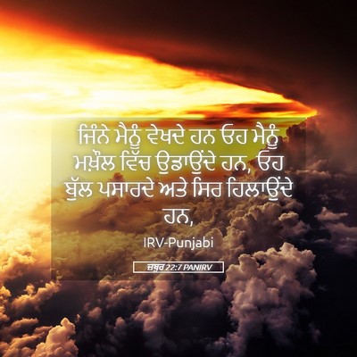 Picture 05 - ਜ਼ਬੂਰ 22:7 PANIRV - ਜਿੰਨੇ ਮੈਨੂੰ ਵੇਖਦੇ - Bible Verse Picture