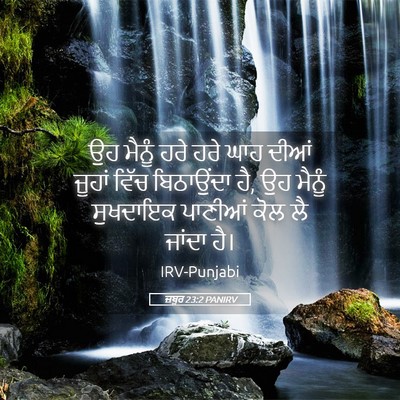 Picture 05 - ਜ਼ਬੂਰ 23:2 PANIRV - ਉਹ ਮੈਨੂੰ ਹਰੇ ਹਰੇ - Bible Verse Picture