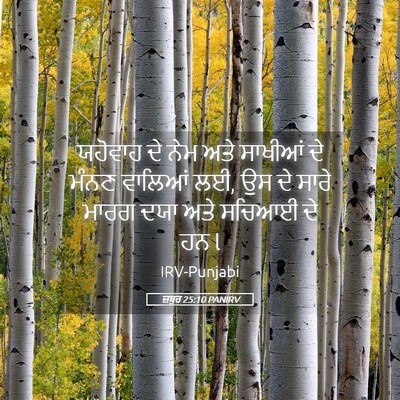 Picture 05 - ਜ਼ਬੂਰ 25:10 PANIRV - ਯਹੋਵਾਹ ਦੇ ਨੇਮ ਅਤੇ - Bible Verse Picture