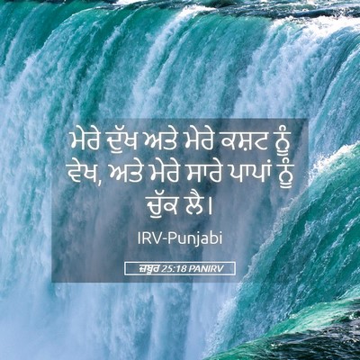 Picture 05 - ਜ਼ਬੂਰ 25:18 PANIRV - ਮੇਰੇ ਦੁੱਖ ਅਤੇ ਮੇਰੇ - Bible Verse Picture
