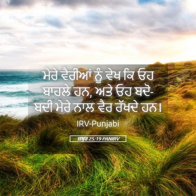 Picture 05 - ਜ਼ਬੂਰ 25:19 PANIRV - ਮੇਰੇ ਵੈਰੀਆਂ ਨੂੰ - Bible Verse Picture