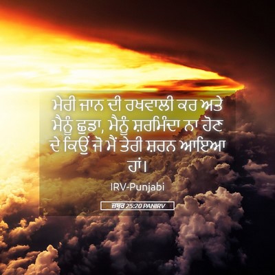 Picture 05 - ਜ਼ਬੂਰ 25:20 PANIRV - ਮੇਰੀ ਜਾਨ ਦੀ ਰਖਵਾਲੀ - Bible Verse Picture