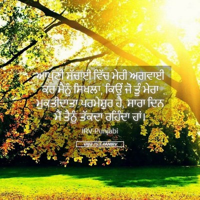 Picture 05 - ਜ਼ਬੂਰ 25:5 PANIRV - ਆਪਣੀ ਸੱਚਾਈ ਵਿੱਚ - Bible Verse Picture