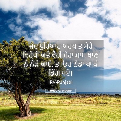 Picture 05 - ਜ਼ਬੂਰ 27:2 PANIRV - ਜਦ ਬੁਰਿਆਰ ਅਰਥਾਤ - Bible Verse Picture