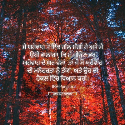 Picture 05 - ਜ਼ਬੂਰ 27:4 PANIRV - ਮੈਂ ਯਹੋਵਾਹ ਤੋਂ ਇੱਕ - Bible Verse Picture
