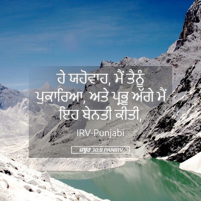 Picture 05 - ਜ਼ਬੂਰ 30:8 PANIRV - ਹੇ ਯਹੋਵਾਹ, ਮੈਂ - Bible Verse Picture