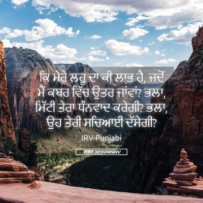 Picture 05 - ਜ਼ਬੂਰ 30:9 PANIRV - ਕਿ ਮੇਰੇ ਲਹੂ ਦਾ ਕੀ - Bible Verse Picture