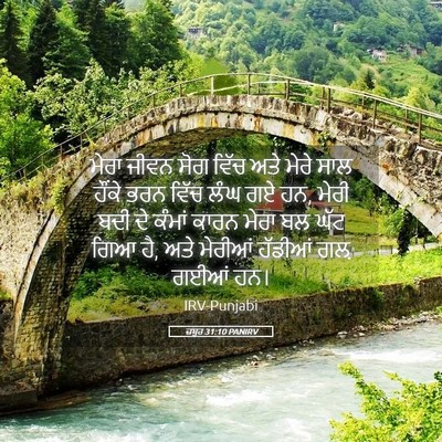 Picture 05 - ਜ਼ਬੂਰ 31:10 PANIRV - ਮੇਰਾ ਜੀਵਨ ਸੋਗ ਵਿੱਚ - Bible Verse Picture