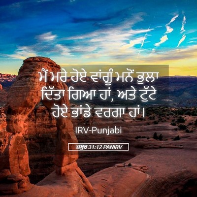 Picture 05 - ਜ਼ਬੂਰ 31:12 PANIRV - ਮੈਂ ਮਰੇ ਹੋਏ ਵਾਂਗੂੰ - Bible Verse Picture