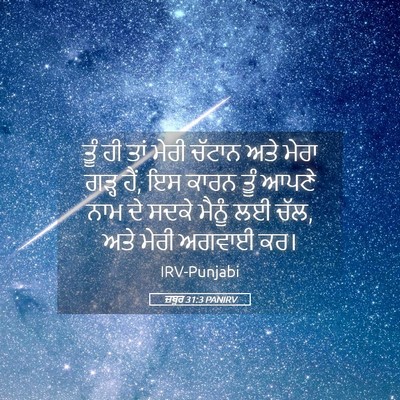 Picture 05 - ਜ਼ਬੂਰ 31:3 PANIRV - ਤੂੰ ਹੀ ਤਾਂ ਮੇਰੀ - Bible Verse Picture