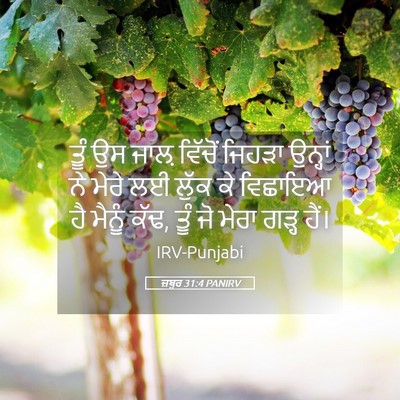 Picture 05 - ਜ਼ਬੂਰ 31:4 PANIRV - ਤੂੰ ਉਸ ਜਾਲ਼ ਵਿੱਚੋਂ - Bible Verse Picture